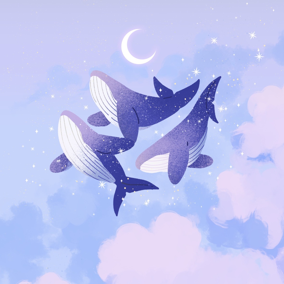 creator profile