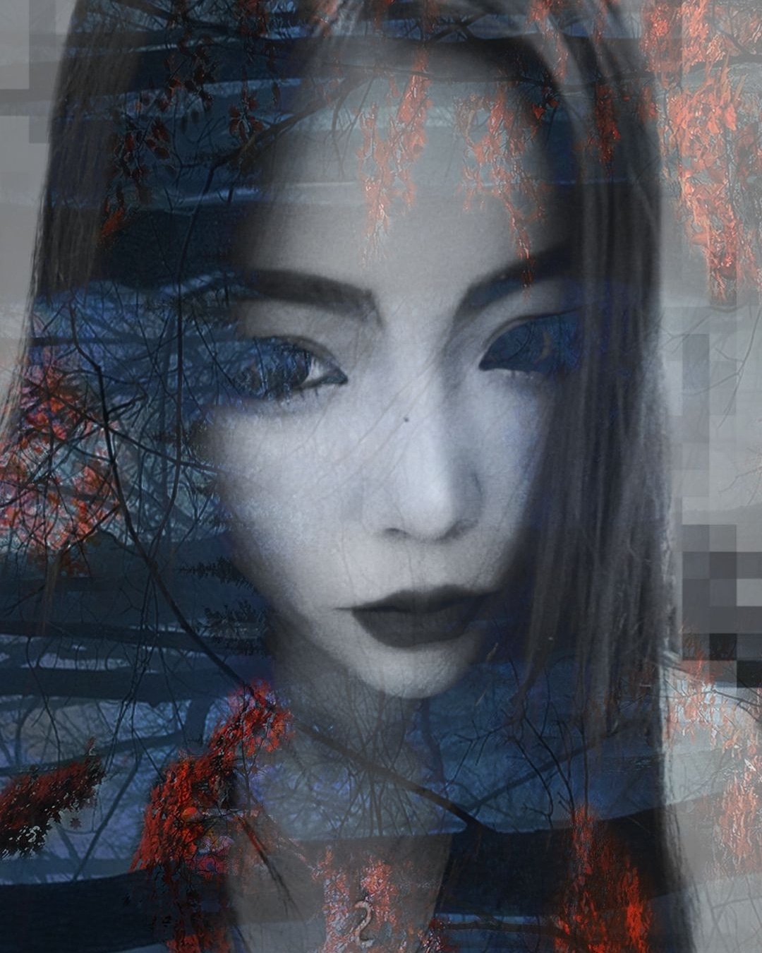 creator profile