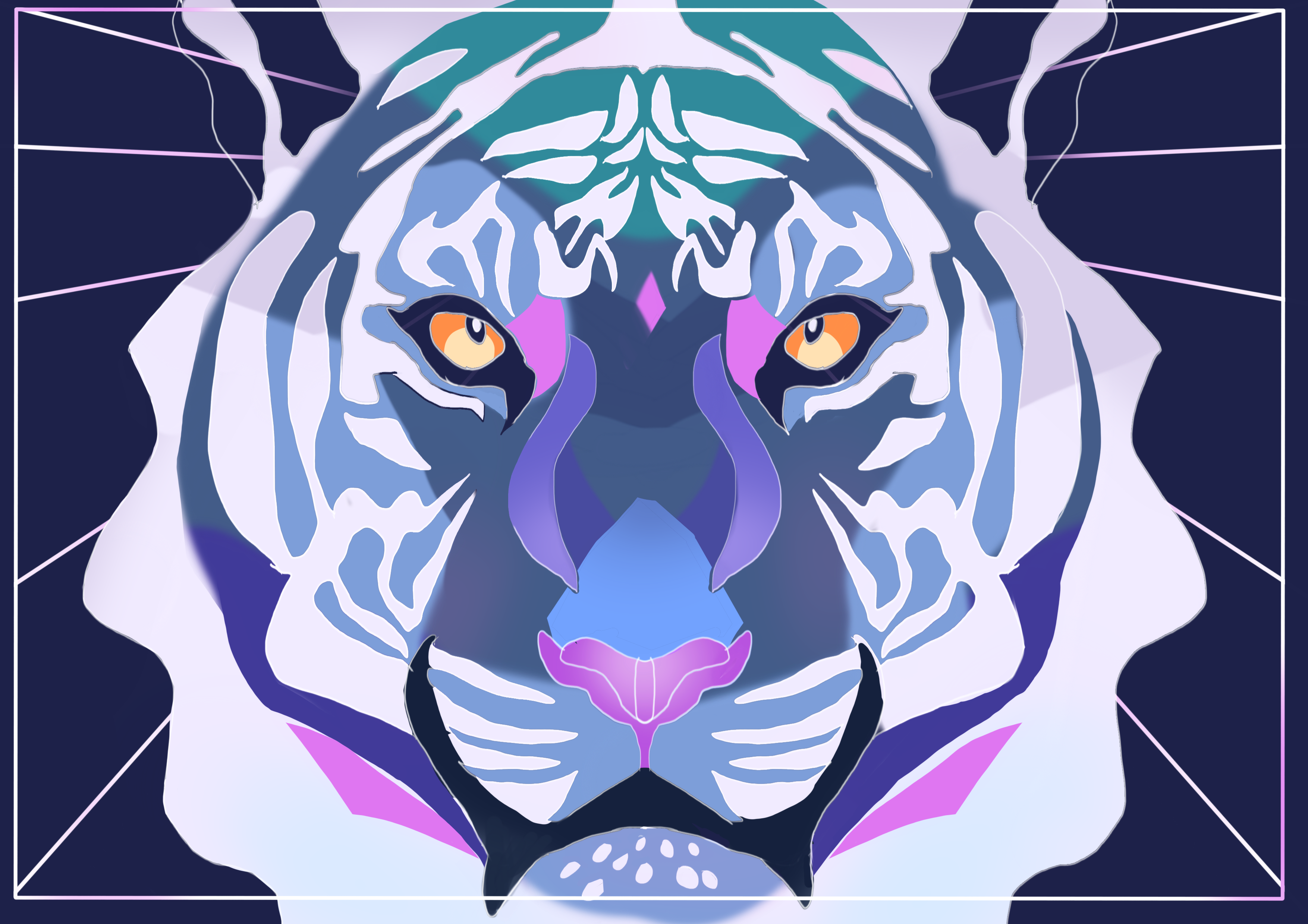 creator profile
