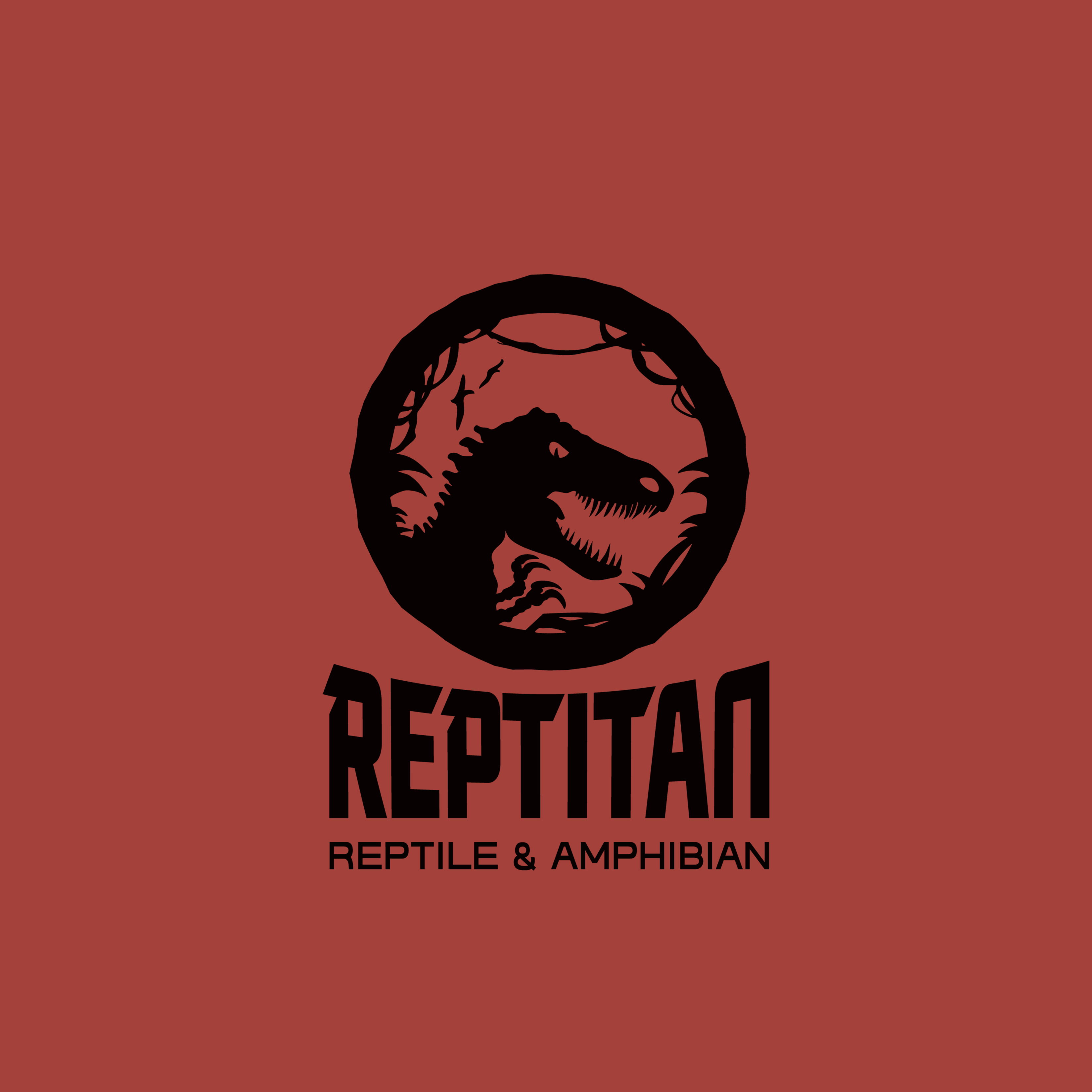 creator profile