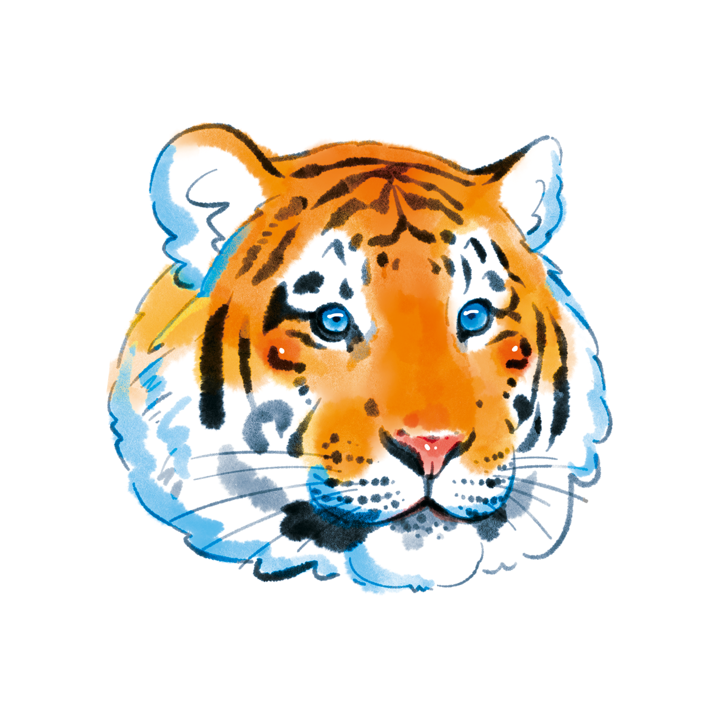 creator profile