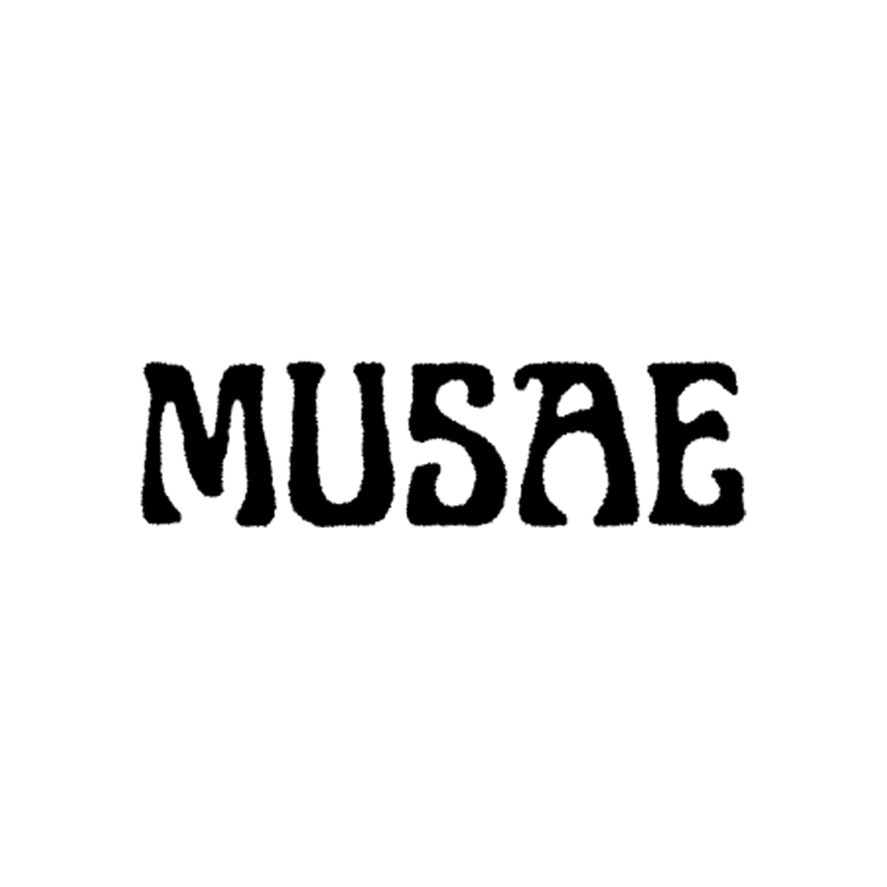 creator profile