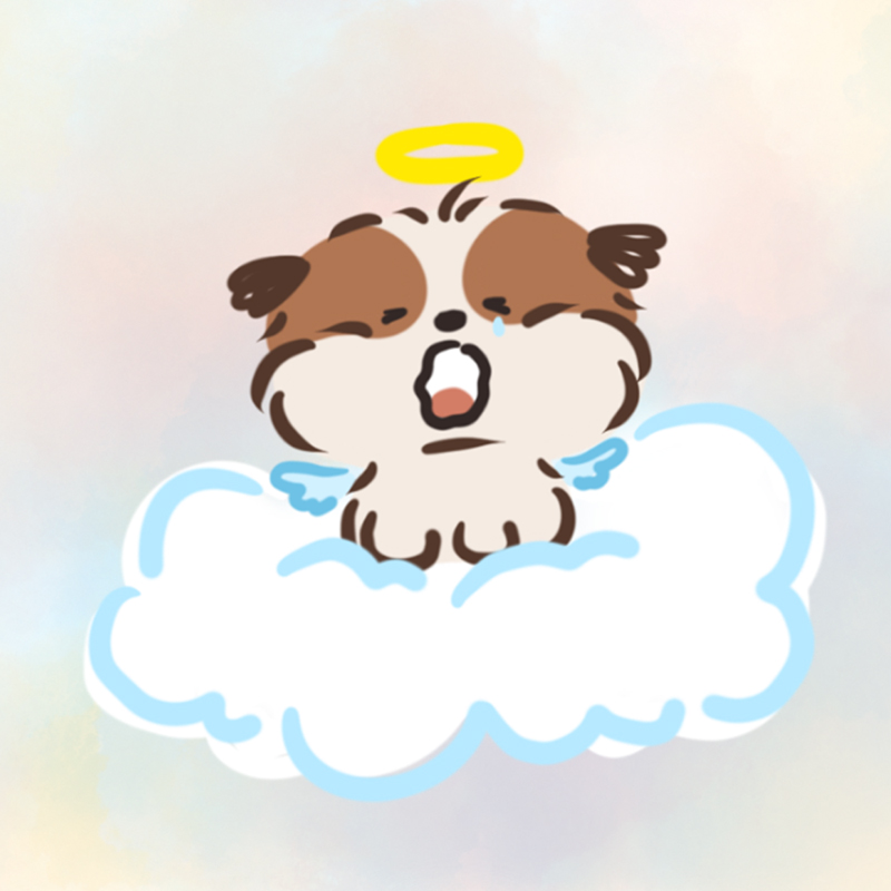 creator profile