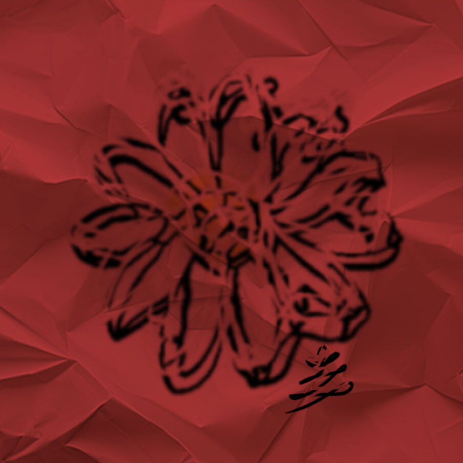 creator profile