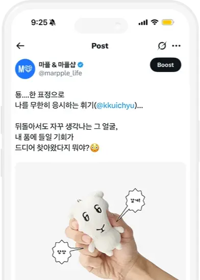 서비스 종류 이미지