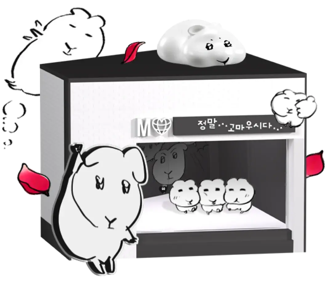 서비스 종류 이미지