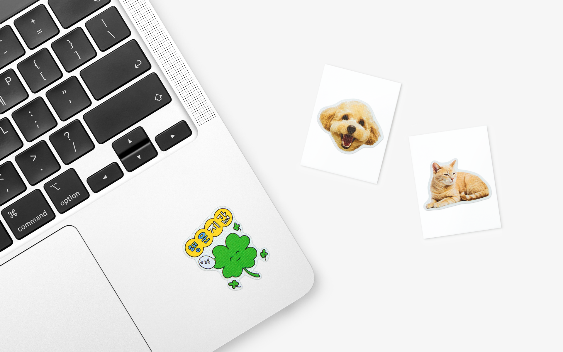 나만의 이미지로 제작하는 커스텀 띠부 스티커, 팬아트·사진·캐릭터를 담은 감성 굿즈 스티커 제작