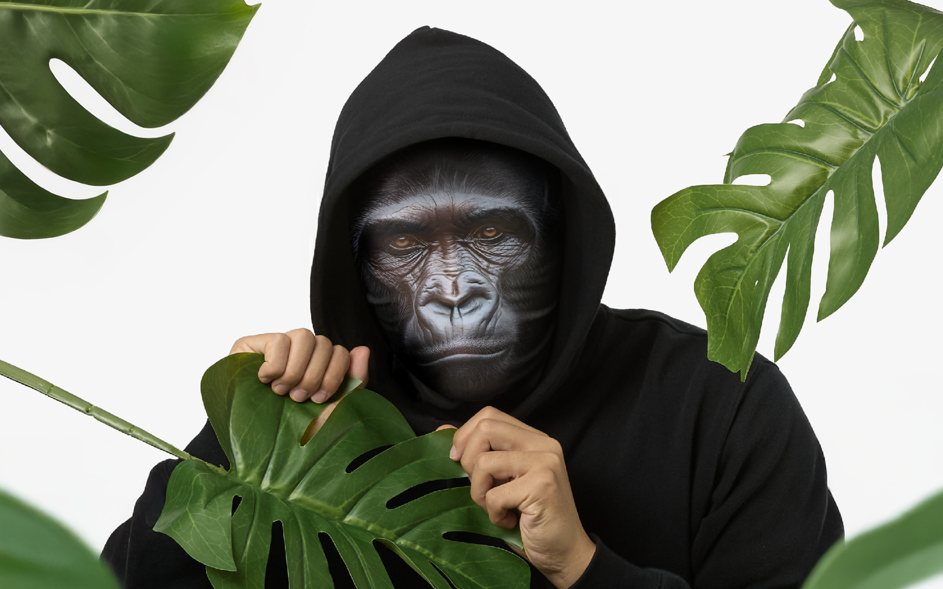 원하는 얼굴이나 캐릭터로 리얼하게 제작되는 커스텀 복면 마스크, 고릴라 디자인으로 파티 분위기를 끌어올리는 특별한 아이템