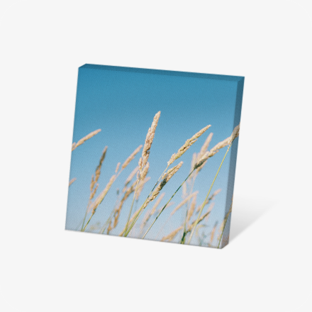 Canvas Frame