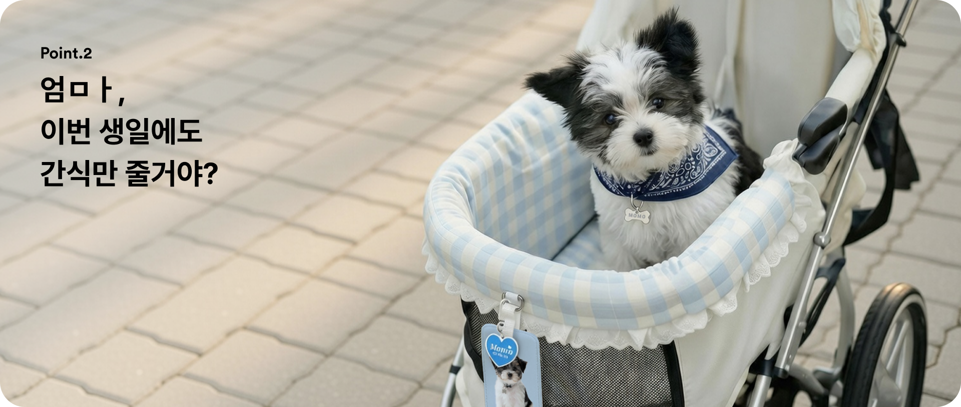 우리 집 강아지 꾸꾸템 모음-굿즈 제작 전문가 마플 