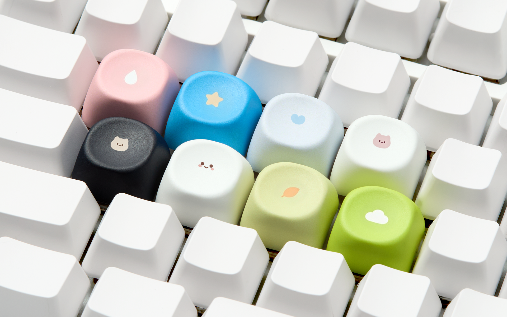 MOA 키캡 커스텀 제작, 동글한 곡선 디자인과 편안한 타건감, 풀 전사 인쇄로 나만의 키보드 스타일 완성