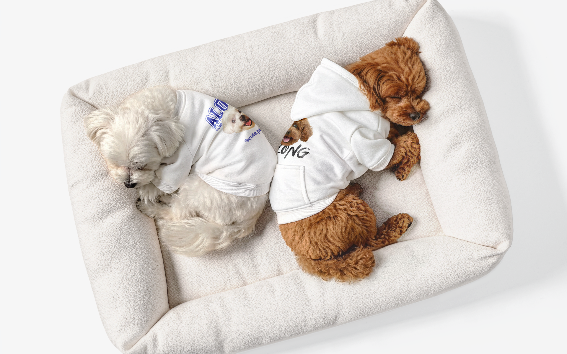 소중한 반려견을 위한 강아지 의류 커스텀 제작