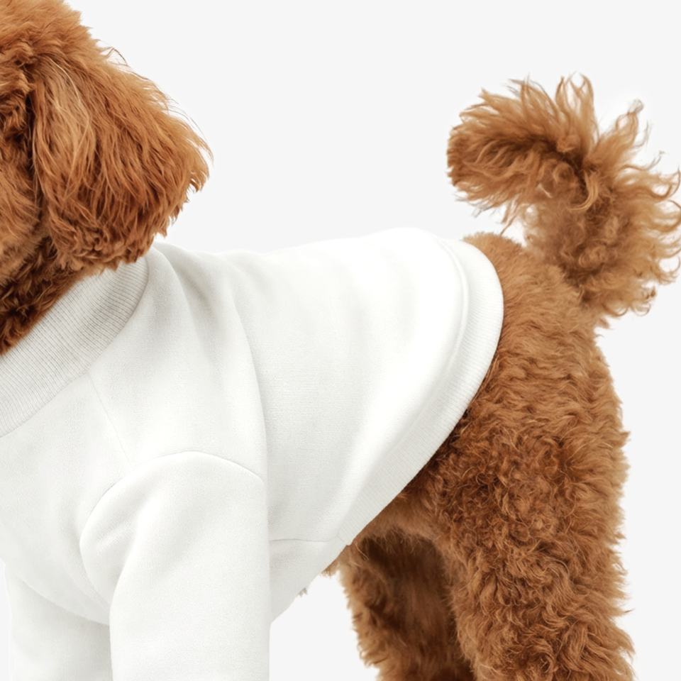 신축성 있는 리브 마감으로 움직임이 편리한 커스텀 반려동물 의류