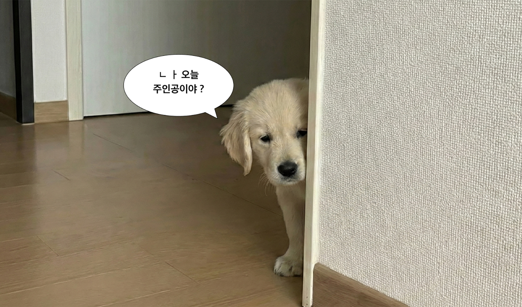 우리 집 강아지 꾸꾸템 모음-굿즈 제작 전문가 마플 