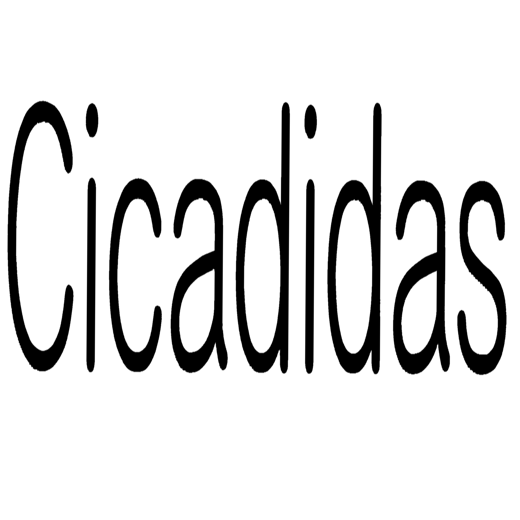 creator profile