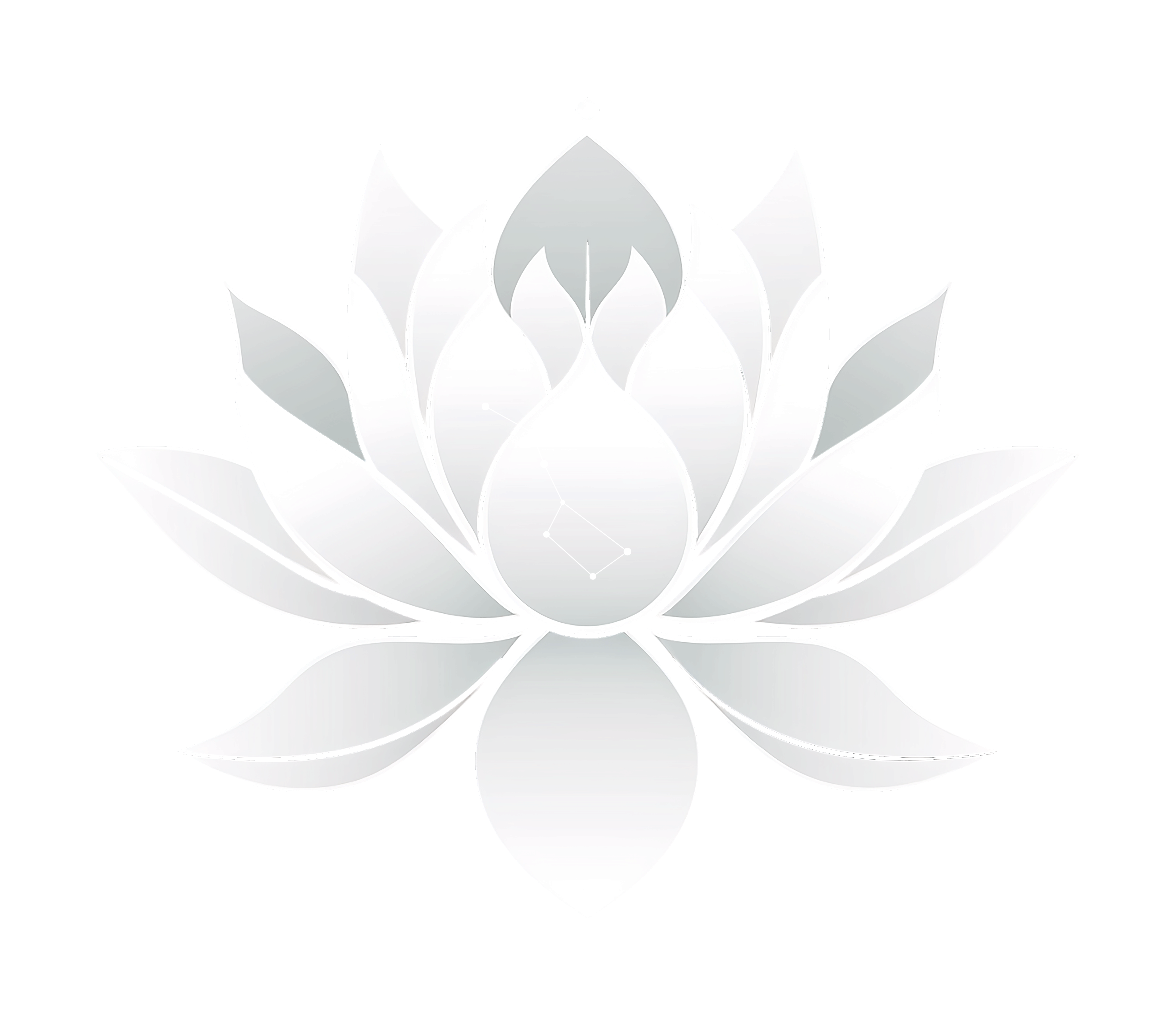 creator profile