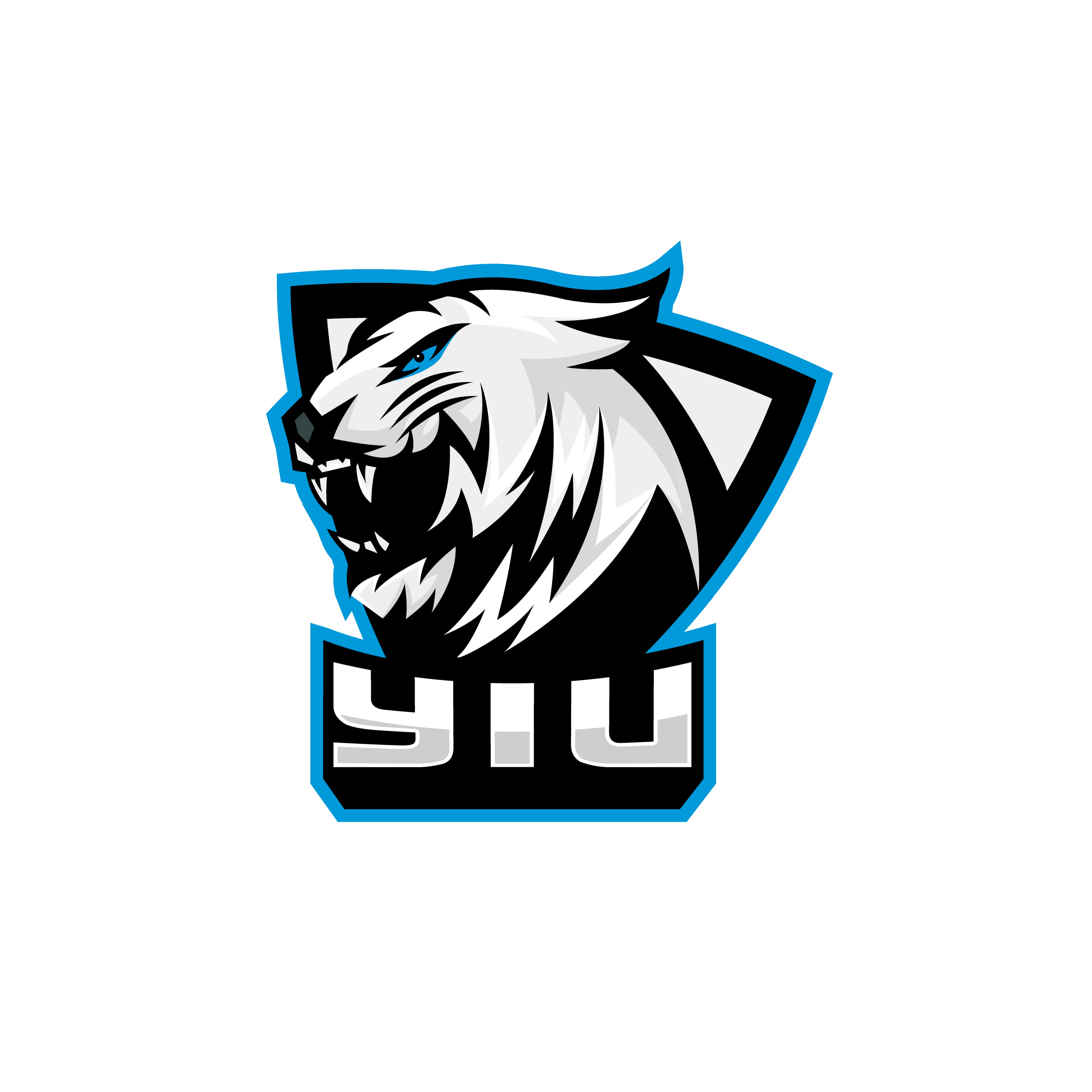 creator profile