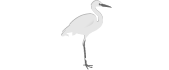 creator logo