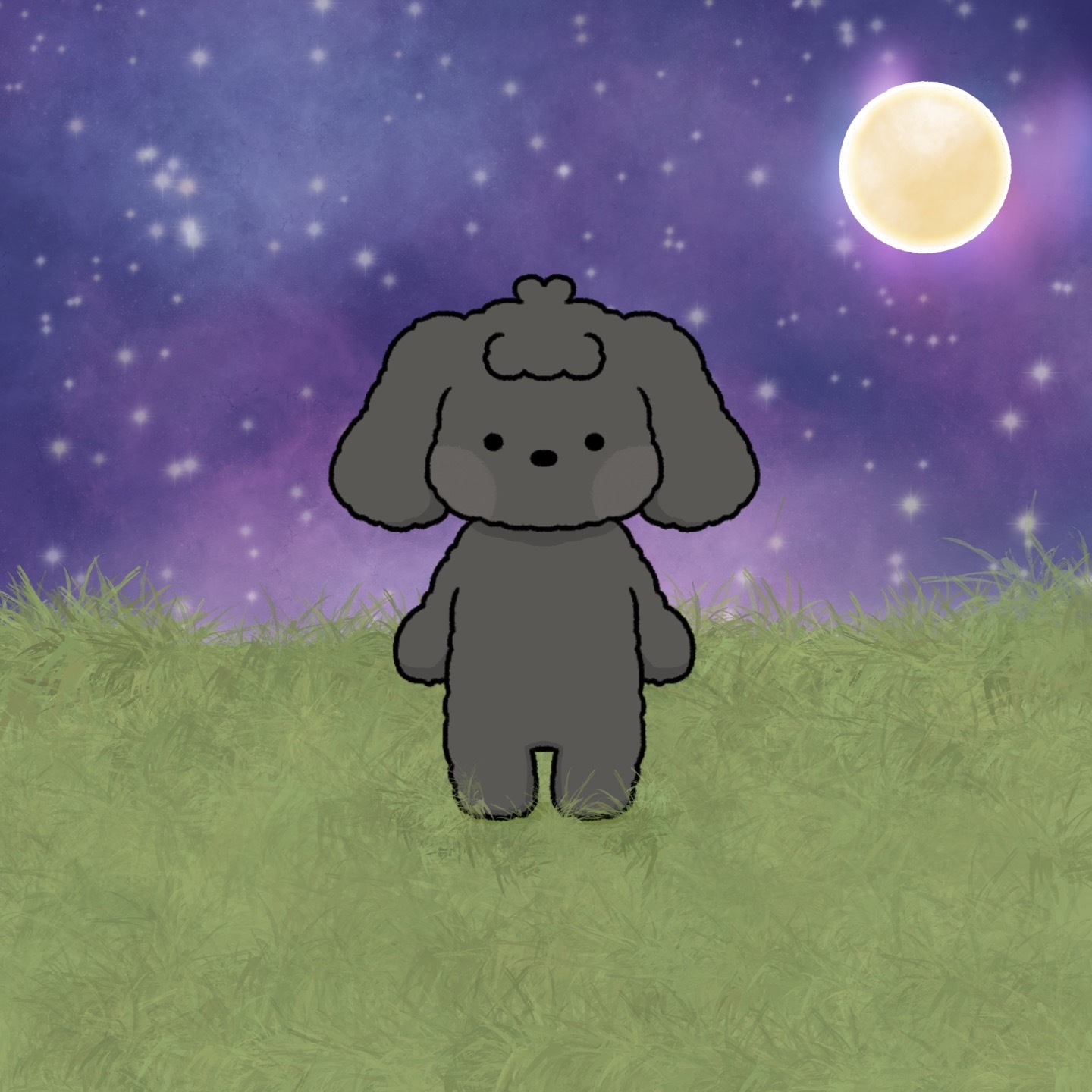 creator profile