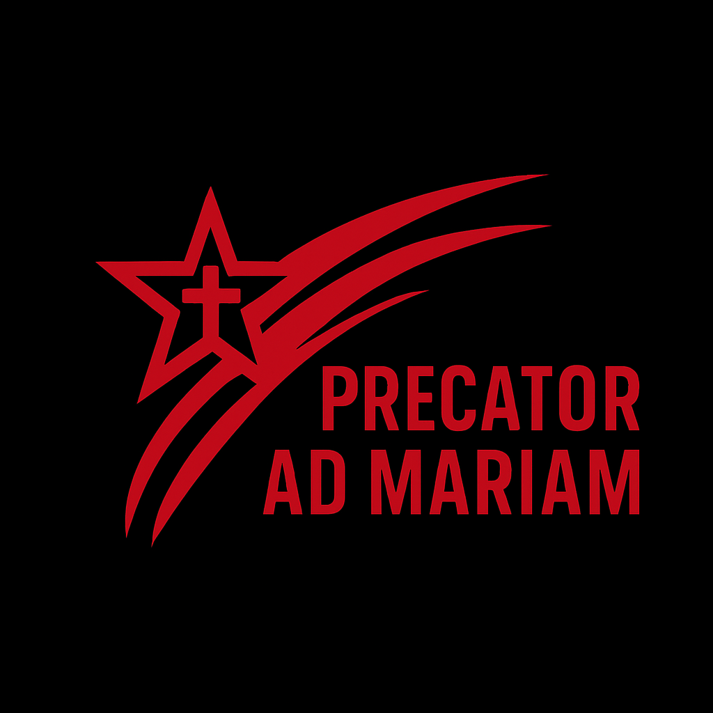 creator profile