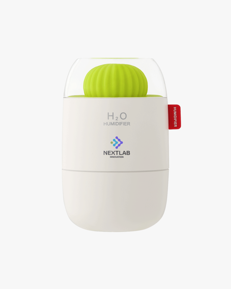 칵투스 무드등 미니 가습기