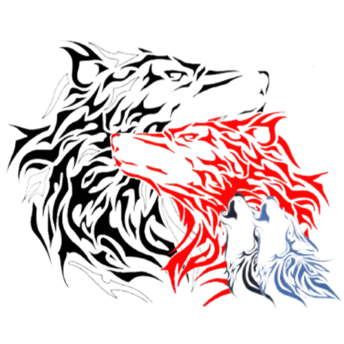 creator profile