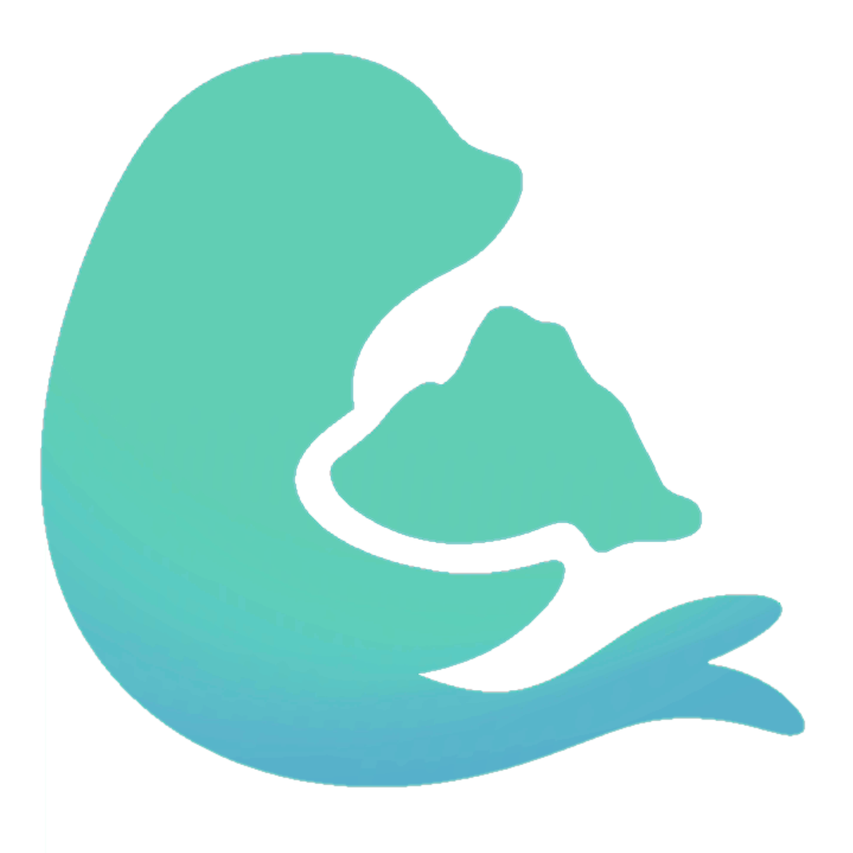 creator profile