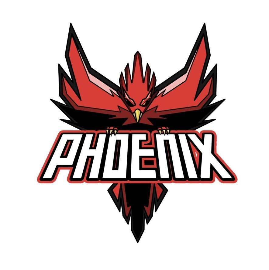 creator profile