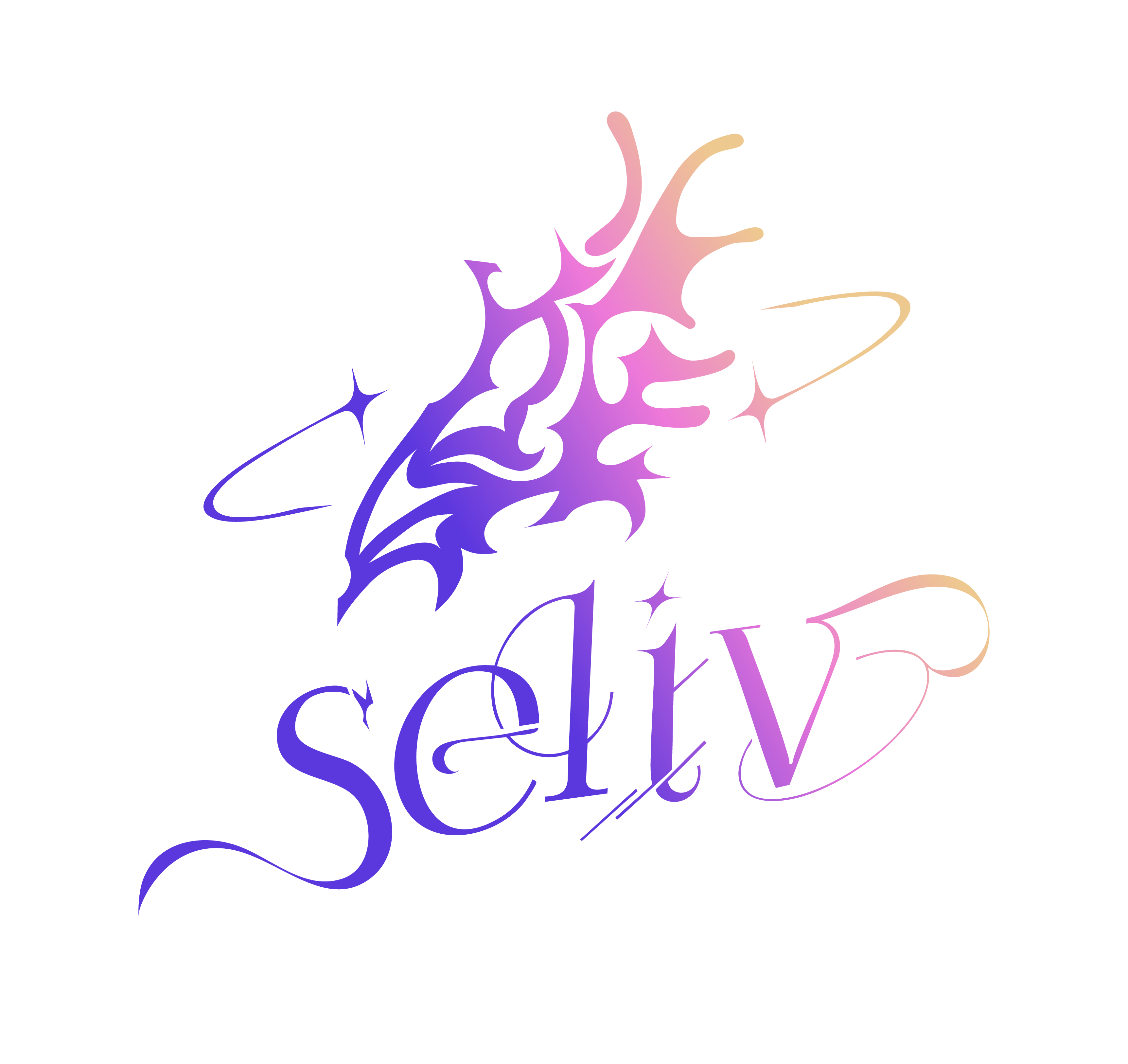 creator profile