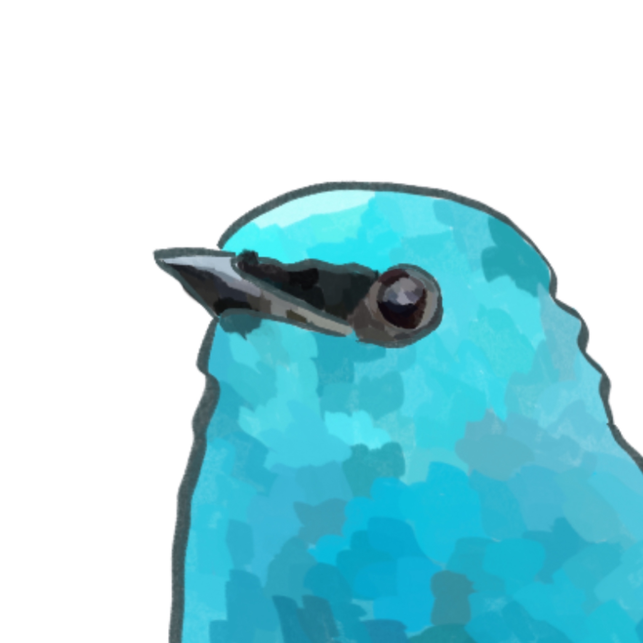 creator profile