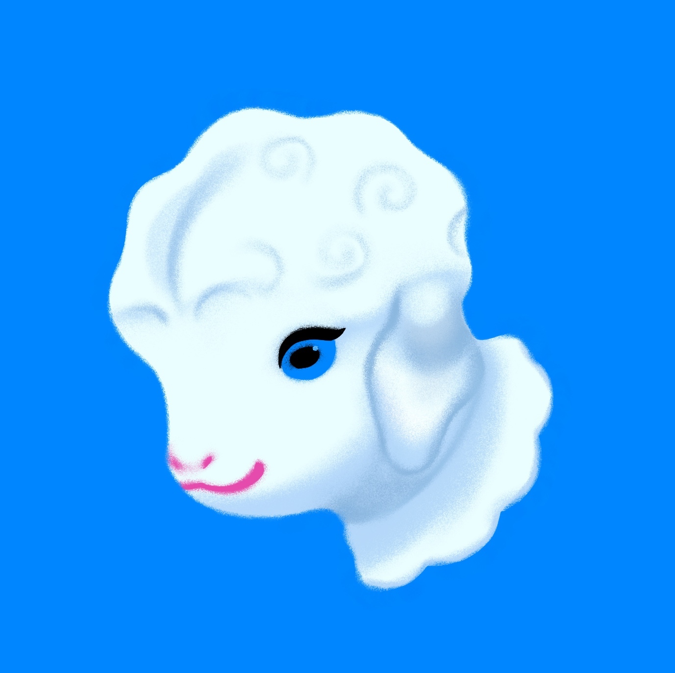 creator profile
