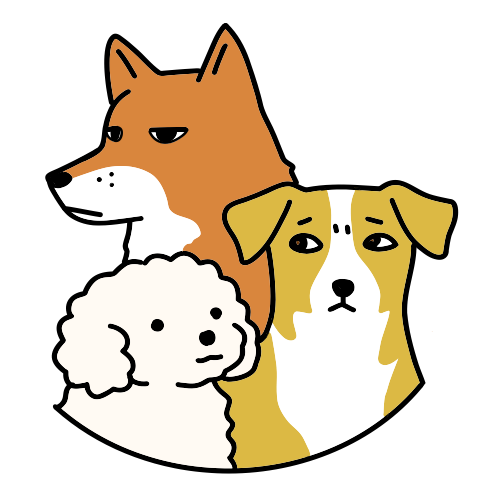 creator profile
