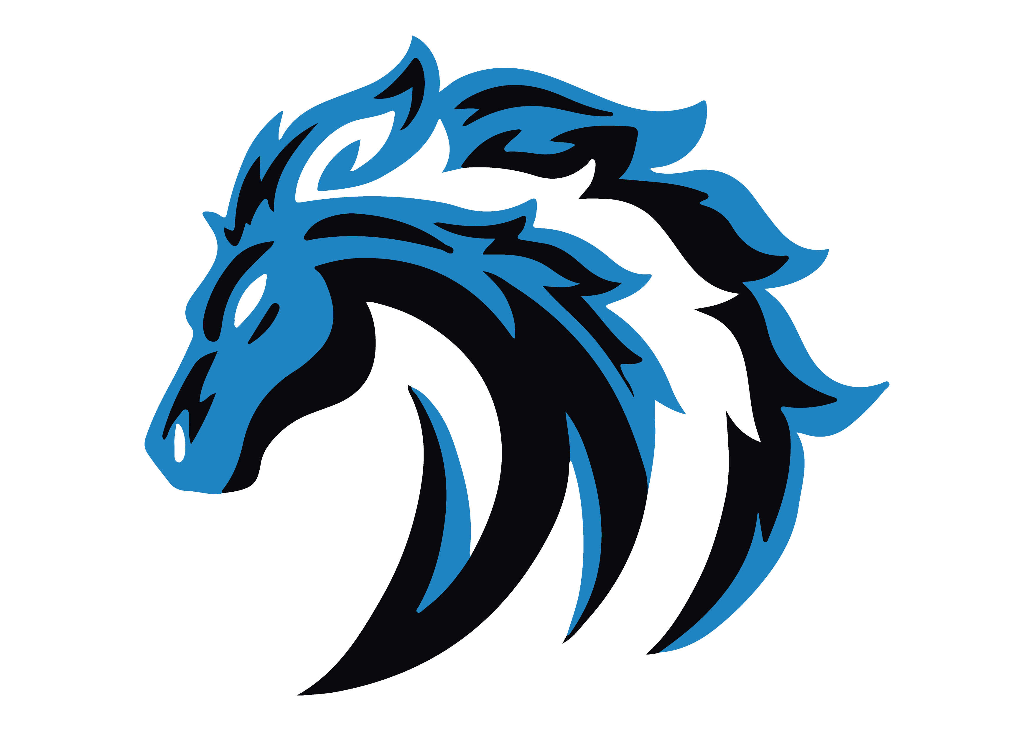 creator profile